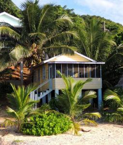 En hage utenfor Guanaja Caribbean Cottages