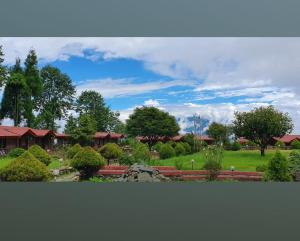 Mt.Narsing Village Resort外面的花园
