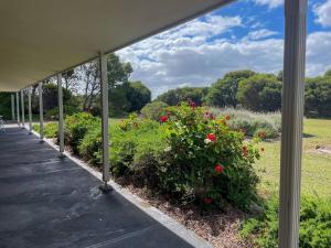 una pasarela cubierta con flores rojas en un campo en The Swans Cottage, en Hindmarsh Island