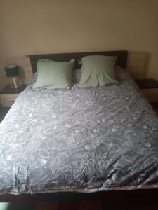 アルジェレス・シュル・メールにあるLes Ondinesのベッド1台(グレーの毛布、枕2つ付)