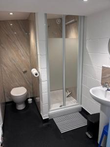 a bathroom with a shower and a toilet and a sink at Woodie the shepherds hut - sleeps 4 in Chichester