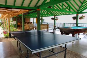 Stolní tenis v ubytování Finca Hotel Isla del Encanto nebo okolí