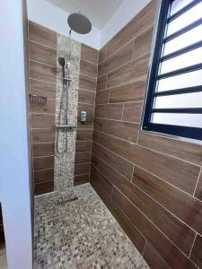 bagno con doccia e piastrelle marroni di Appartement T2 tout confort au François a Le François