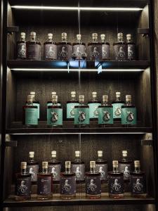 温特图尔Boutique Hotel Sonne Seuzach的相册照片