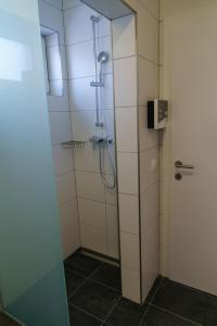 a shower with a glass door in a bathroom at Luxescape- Turracher Höhe- Chalet Apartement Almzeit- FeWo Maierbrugger - Sauna - Parkplatz - WLAN- Naturschutzgebiet in Brandstätter