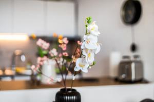 a vase filled with white flowers on a counter at Ruhiges und modernes Zuhause in Münster