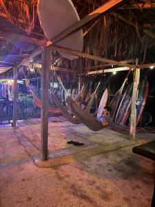 eine Gruppe von Personen, die in Hängematten in einem Zimmer liegen in der Unterkunft SURF HOUSE ESTILO LIBRE in Buenaventura