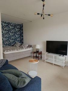 ein Wohnzimmer mit einem Sofa und einem TV in der Unterkunft Studio sairaala in Joensuu