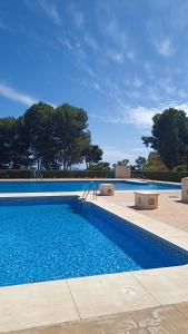 een zwembad met blauw water en bomen op de achtergrond bij Bonito y moderno estudio con vistas al mar in Benalmádena