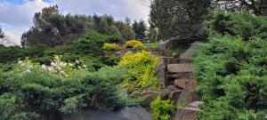 um jardim com pedras e flores numa colina em Krzemieniecka Atlas Arena Zoo Orientarium em Lódź