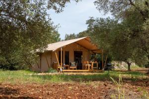 a large tent in a field with trees at Domus Olea Glamping in Ceglie Messapica