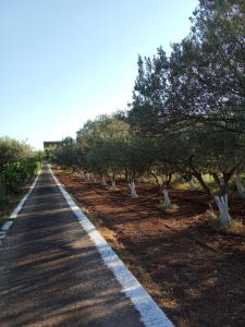 a row of trees on the side of a road at VILLA S&A MEDITATION in Chalkida