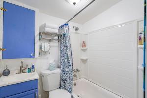 a bathroom with a white toilet and a blue shower curtain at Little Pineapple Cottage in St. Petersburg