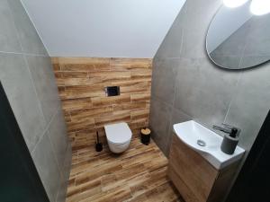 ein Badezimmer mit einem WC, einem Waschbecken und einem Spiegel in der Unterkunft Pole Lawendowe Sielsko - domek na polu in Pawłów