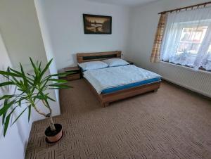 Postel nebo postele na pokoji v ubytování Dvougenerační dům se zahradou + 6 fotografií