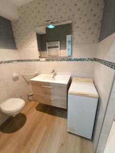 Koupelna v ubytování Maison au pied de la vielle ville du Puy en Velay