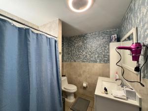 a bathroom with a toilet and a blue shower curtain at 3 bedrooms in Modern Brooklyn home, Close to J train in Brooklyn