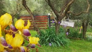 Zahrada ubytování B&B La casina di Iris