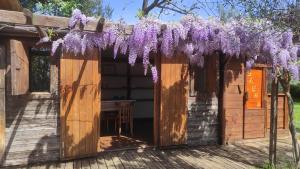 Zahrada ubytování B&B La casina di Iris