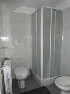 uma casa de banho com um WC e um chuveiro em Centrale appartamento su due livelli "3" em Turim