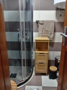 uma casa de banho com um chuveiro e um armário de madeira em Simic Apartmani Tara em Kaludjerske Bare
