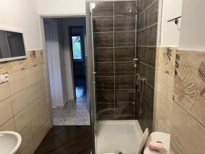 a bathroom with a shower and a toilet and a sink at Pod kasztanem in Olsztynek