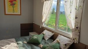 - une chambre avec une fenêtre et un lit avec des oreillers dans l'établissement Ranczo Tomaszówka Domek w Polu, 