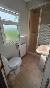 La salle de bains est pourvue de toilettes, d'un lavabo et d'une fenêtre. dans l'établissement Ranczo Tomaszówka Domek w Polu, 