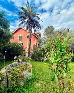 a house with a palm tree in a yard at Villachiara in Silvi Marina