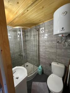 a bathroom with a toilet and a sink and a tub at Siedlik Agroturystyka - spokojne miejsce dla Ciebie i Twojej rodziny in Lidzbark