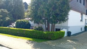 a white building with a tree next to a sidewalk at Ferienwohnung im Wesertal in Hameln