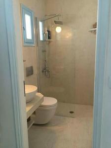 a bathroom with a shower and a toilet and a sink at Faro del mar in Naxos Chora