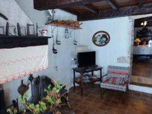 ein Wohnzimmer mit einem TV und einem Kamin in der Unterkunft Maison de campagne Les loirs in Lespinassière