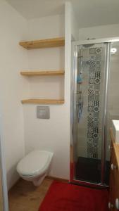 ein Badezimmer mit Toilette und Glasdusche in der Unterkunft Studio Bettex 4p- vue Mont-Blanc in Saint-Gervais-les-Bains