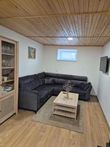 a living room with a black couch and a table at Namas Zarasuose su vyno rūsiu in Zarasai