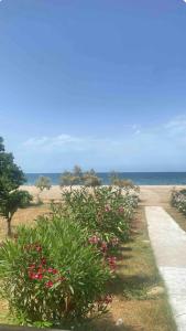 Φυσικό τοπίο κοντά σε αυτό το διαμέρισμα