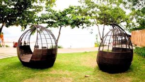 Κήπος έξω από το Mactan Newtow Enjoy Family Staycation