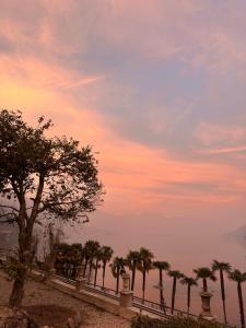 un groupe de palmiers devant un coucher de soleil dans l'établissement Ca Meison, à Cannobio