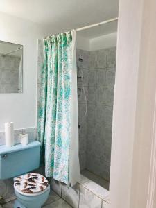 a bathroom with a shower curtain and a toilet at Cockpit County Mountain Room in Kupuis