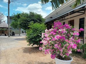 un pot de fleurs roses devant un bâtiment dans l'établissement Grae’s Apartelle, à Moalboal