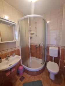 a bathroom with a shower and a toilet and a sink at Podgora apartment no.5 in Podgora +17 photos