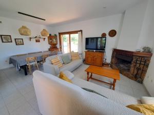 ein Wohnzimmer mit Sofa und Fernseher in der Unterkunft Casa en Viladamat con piscina en la Costa Brava in Viladamat