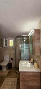 bagno con doccia, lavandino e servizi igienici di CozyPolis ad Atene