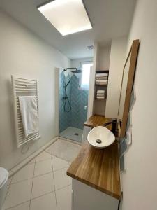 La salle de bains est pourvue d'un lavabo et d'une douche. dans l'établissement Appartement chaleureux proche Paris JO 2024, à Saint-Gratien