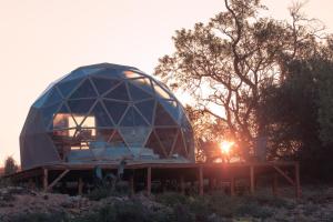 a dome house is sitting on a wooden stand at Tente évasion in Tuchan