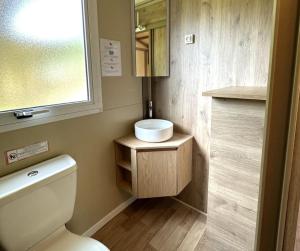 een kleine badkamer met een toilet en een wastafel bij Camping Dolce Vita in Calvi