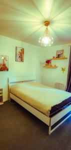 um quarto com uma cama grande e um tecto em Superbe studio en plein centre ville de Rennes em Rennes