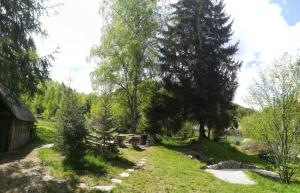 einen Garten mit Bäumen und einer Bank im Gras in der Unterkunft Casuta dintre brazi in Râșca