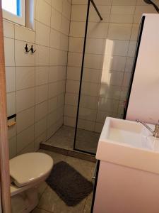 a bathroom with a shower and a toilet and a sink at Domki u Jagodzianki in Smołdziński Las