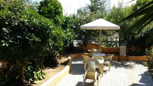 A garden outside Alexandros Studios & Apartments